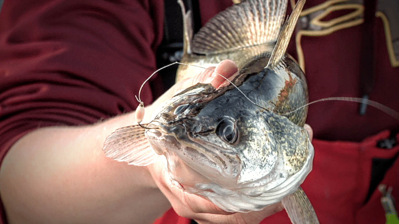 Lake Audubon (ND) Fishing Report – Peter Olson