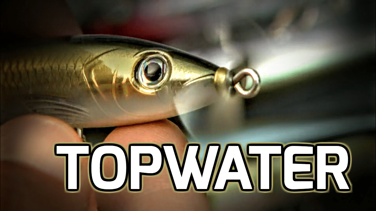 4 Topwater Lures — When They Each Shine