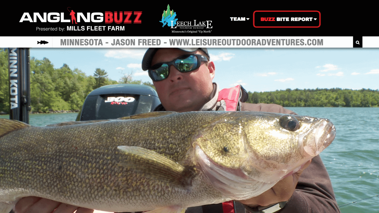 Leech Lake (MN) Fishing Report – Jason Freed