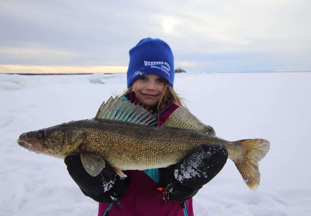 Northern Manitoba Fishing Report – Bryan Bogdan