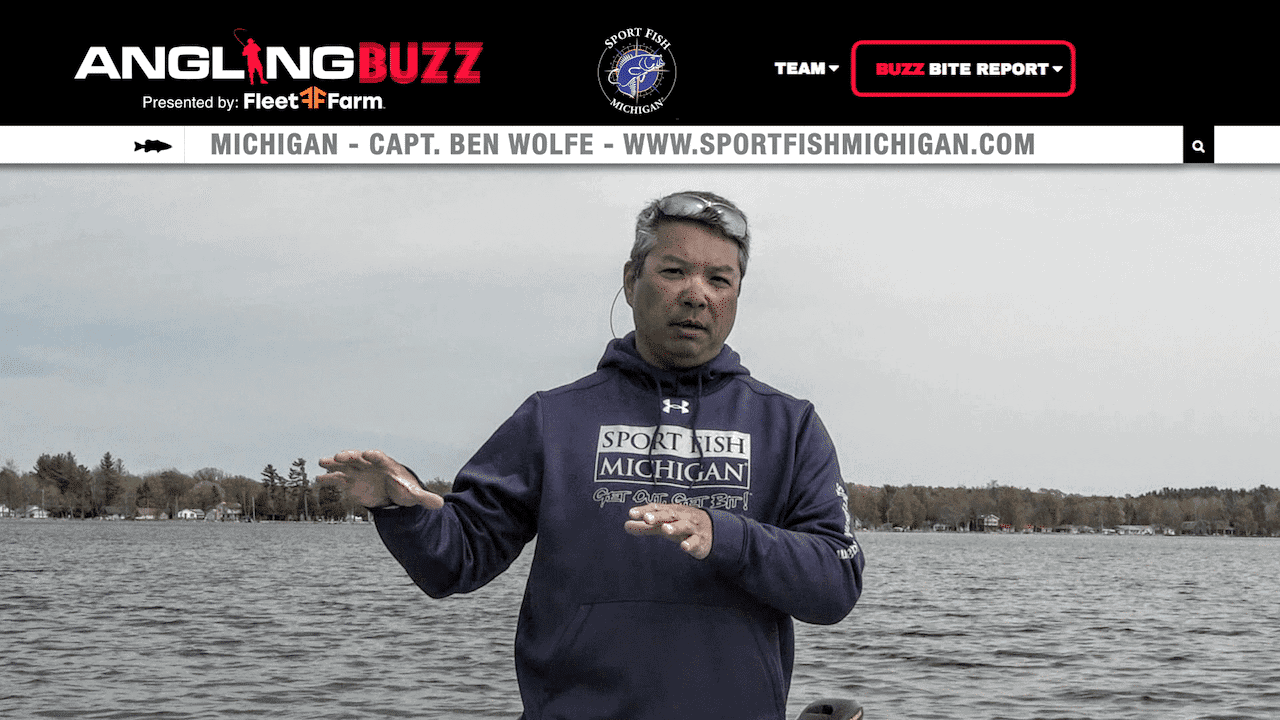 Michigan Fishing Report – Capt. Ben Wolfe