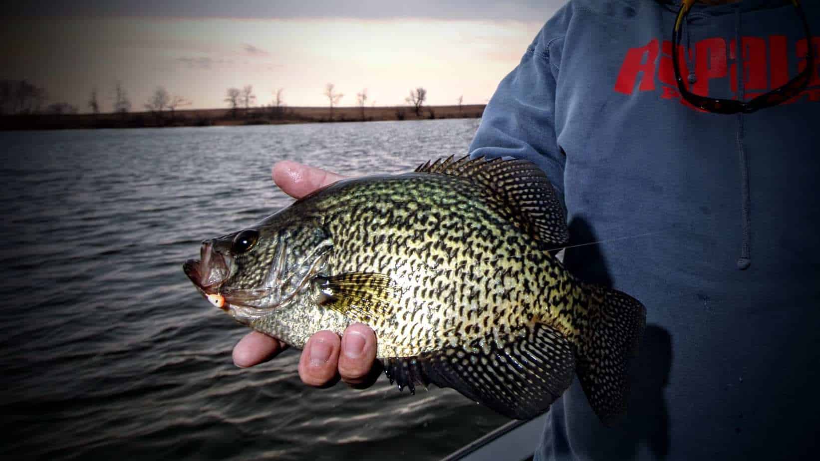 Jig Trolling for Crappie