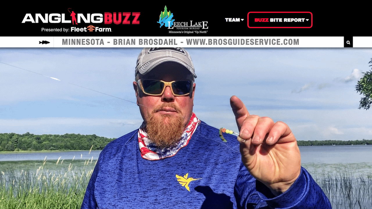 Leech Lake Fishing Report – Brian Brosdahl