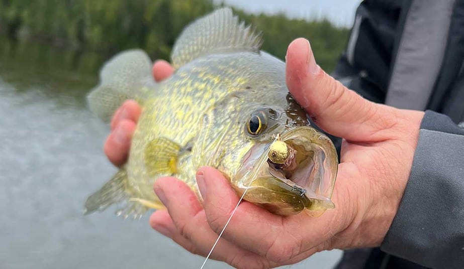 fall crappies in deep water