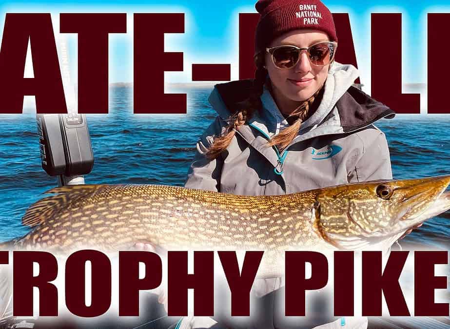 How to Catch BIG Northern Pike in Fall