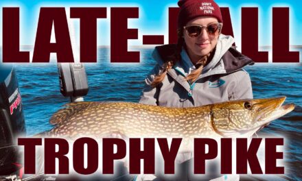 How to Catch BIG Northern Pike in Fall