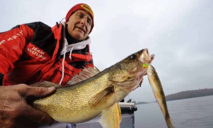 Slip Bobber Fishing Walleye With Live Bait
