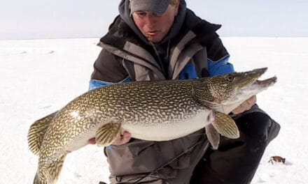 Lake of the Woods Giant Pike