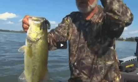 Punchin’ Largemouth Bass in Heavy Cover