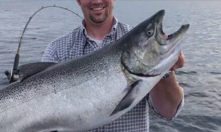 Michigan Walleye, Smallmouth and Salmon Report