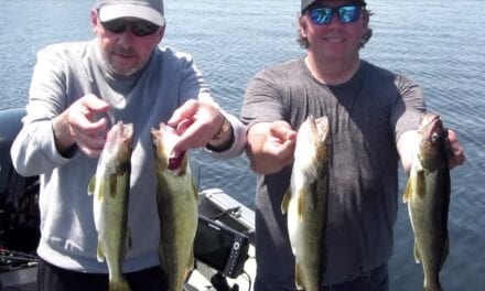 Lake Vermilion Early Summer Fishing Report