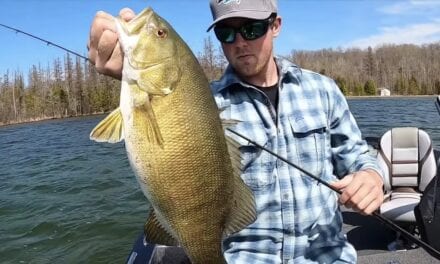 Michigan Bass, Panfish, Walleye and Salmon Fishing Report