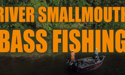 River Smallmouth Bass Fishing