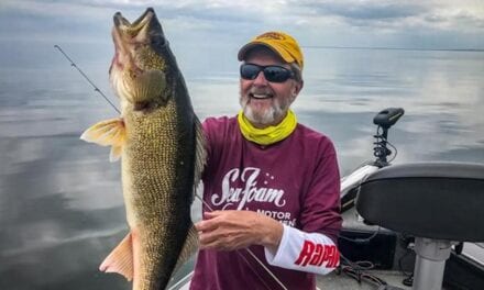 Baits for Structure Fishing Walleye in Summer
