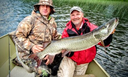 Lake Vermilion Musky Fishing Report for Early July