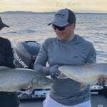 Lake Michigan Lake Trout Report (Hot Action & Big Fish)