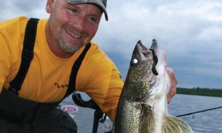 August Walleye Report from Lake Vermilion