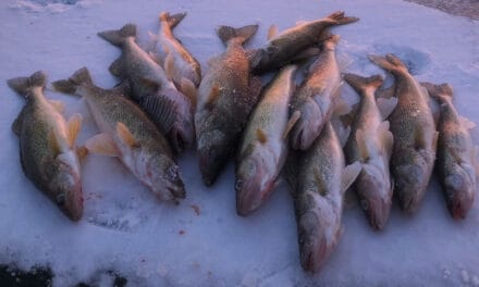 Oahe Wings and Walleyes Cast and Blast