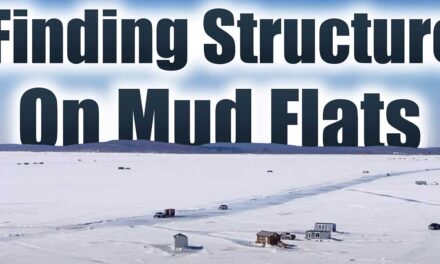 Finding Structure on Mud Flats