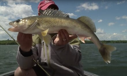 Using the Tokyo Rig for Walleye: A New Presentation