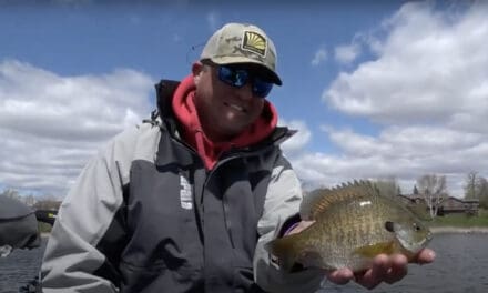 Panfish Rods with Tony Roach