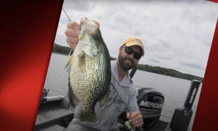 Targeting Mid Summer Crappies