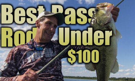 Best Bass Rods Under $100