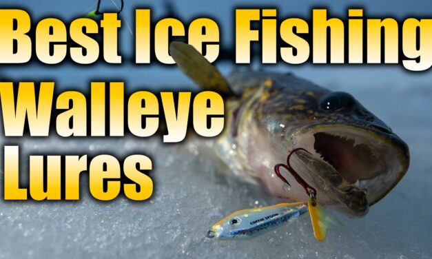 10 Best Ice Fishing Walleye Lures