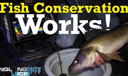 Fish Conservation in Manitoba