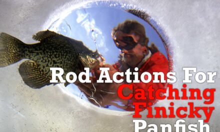 Catching Finicky Panfish: Best Rod Actions
