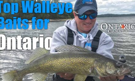Top Walleye Baits for Ontario