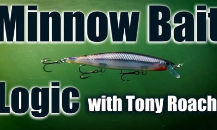 Minnow Bait Logic with Tony Roach