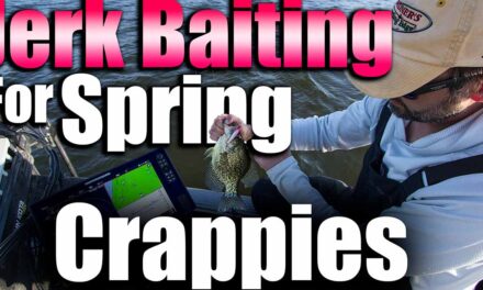 Jerkbaits for Spring Crappies
