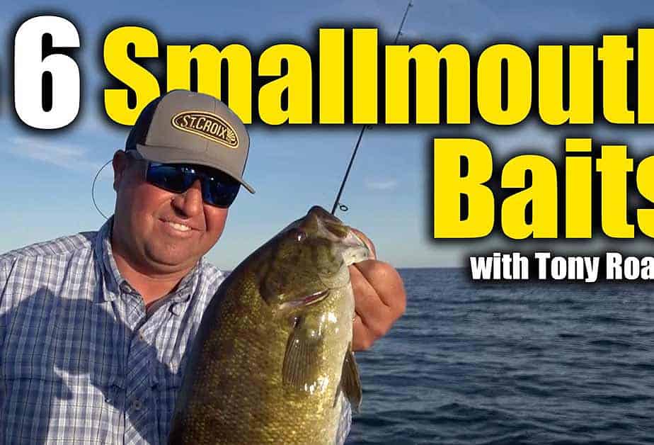 Top 6 Smallmouth Bass Baits