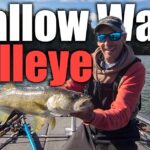 Shallow Water Walleye