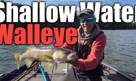 Shallow Water Walleye
