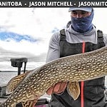 Northern Manitoba Buzz Bite Report 6-30-2022