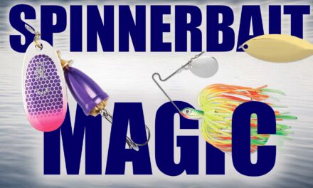 ANGLINGBUZZ SHOW 13: SPINNERBAIT MAGIC