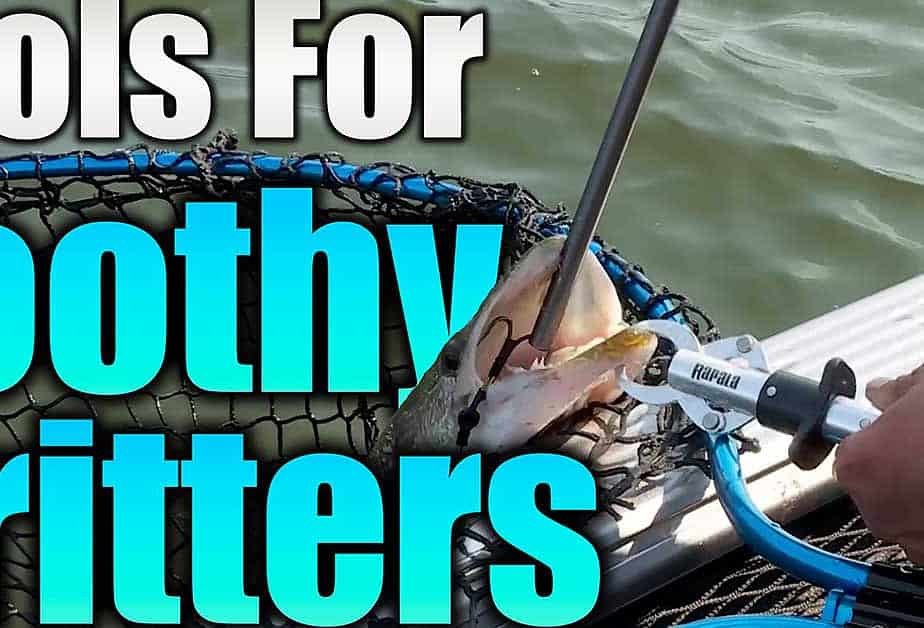 Tools for Handling Fish: Toothy Critters