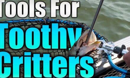 Tools for Handling Fish: Toothy Critters