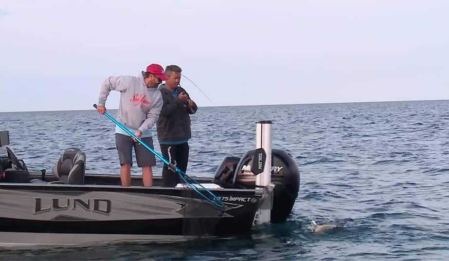how to net fish 