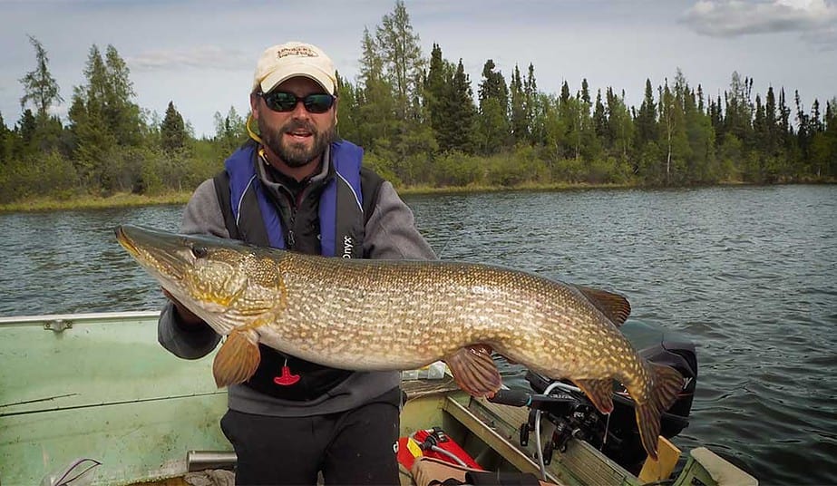 Saskatchewan fishing northern pike 