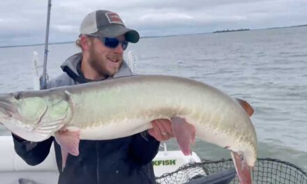 Lake of the Woods Musky Buzz Bite Report 9-24-2022