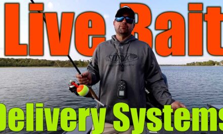 Best Live Bait Delivery Systems