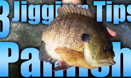 3 Tips on Jigging for Panfish