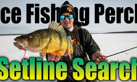 Ice Fishing Perch — Setline Search Tactics