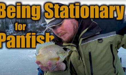 When to Be Stationary for Early Ice Panfish