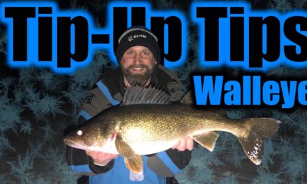 Tip Ups for Walleye