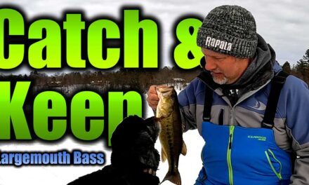 Catch and Cook Largemouth Bass